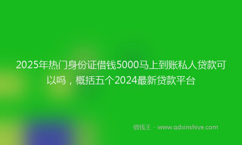 2025年热门身份证借钱5000马上到账私人贷款可以吗，概括五个2024最新贷款平台