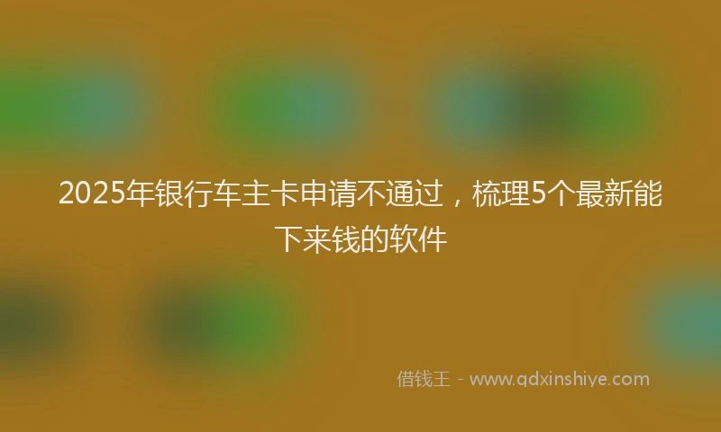 2025年银行车主卡申请不通过，梳理5个最新能下来钱的软件
