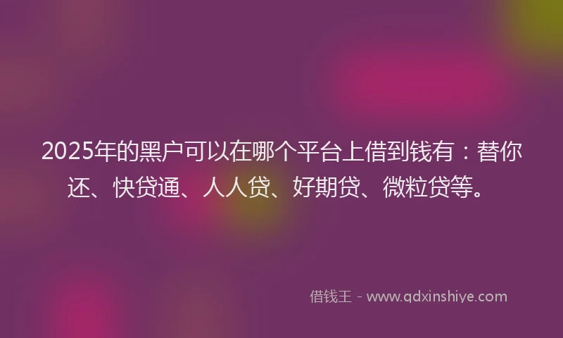 2025年的黑户可以在哪个平台上借到钱有：替你还、快贷通、人人贷、好期贷、微粒贷等。