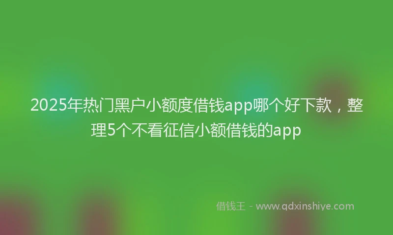 2025年热门黑户小额度借钱app哪个好下款，整理5个不看征信小额借钱的app