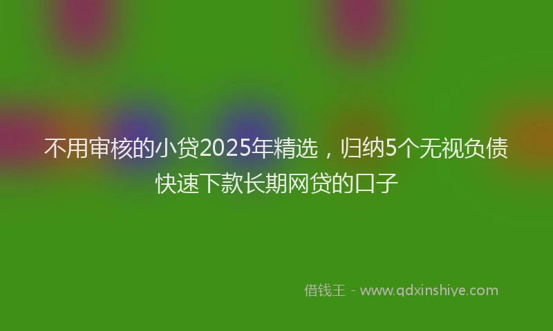 不用审核的小贷2025年精选，归纳5个无视负债快速下款长期网贷的口子