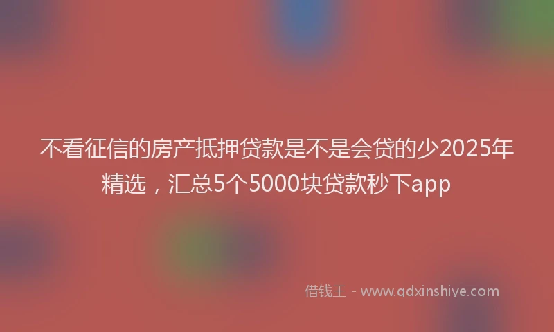 不看征信的房产抵押贷款是不是会贷的少2025年精选，汇总5个5000块贷款秒下app