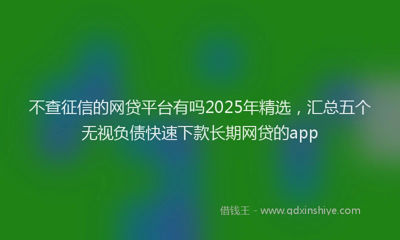 不查征信的网贷平台有吗2025年精选，汇总五个无视负债快速下款长期网贷的app