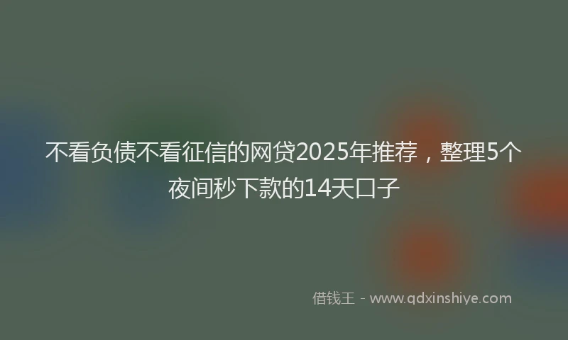 不看负债不看征信的网贷2025年推荐，整理5个夜间秒下款的14天口子
