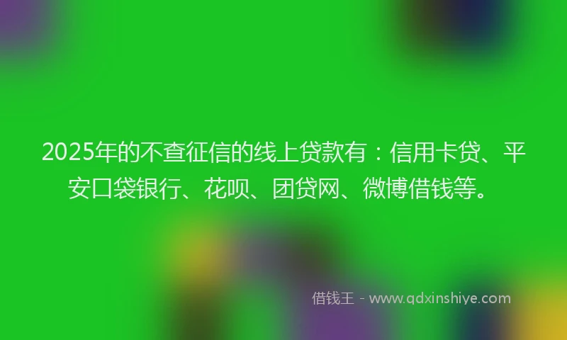 2025年的不查征信的线上贷款有：信用卡贷、平安口袋银行、花呗、团贷网、微博借钱等。