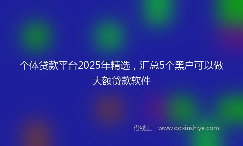 个体贷款平台2025年精选，汇总5个黑户可以做大额贷款软件