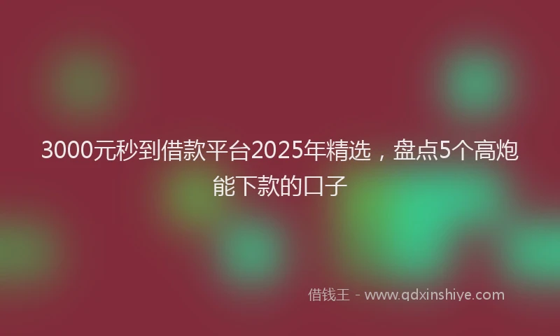 3000元秒到借款平台2025年精选，盘点5个高炮能下款的口子