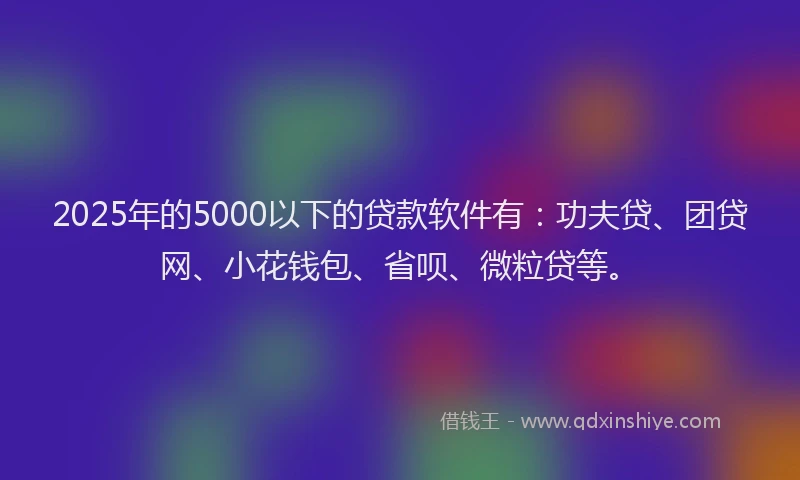 2025年的5000以下的贷款软件有：功夫贷、团贷网、小花钱包、省呗、微粒贷等。