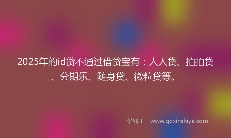 2025年的id贷不通过借贷宝有：人人贷、拍拍贷、分期乐、随身贷、微粒贷等。
