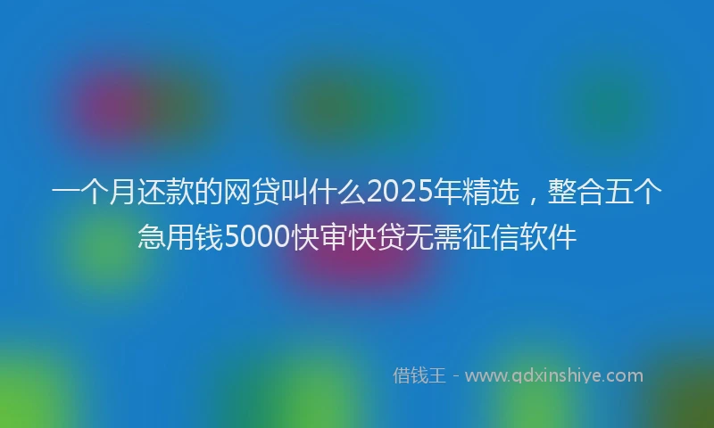 一个月还款的网贷叫什么2025年精选，整合五个急用钱5000快审快贷无需征信软件