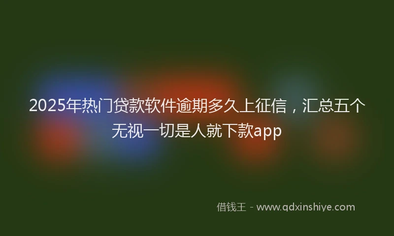 2025年热门贷款软件逾期多久上征信，汇总五个无视一切是人就下款app