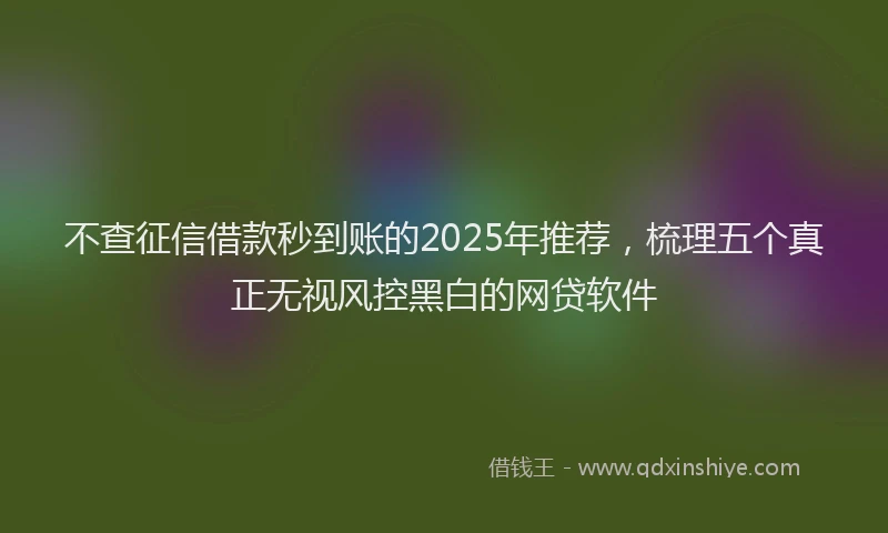 不查征信借款秒到账的2025年推荐，梳理五个真正无视风控黑白的网贷软件