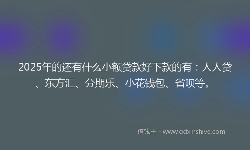 2025年的还有什么小额贷款好下款的有：人人贷、东方汇、分期乐、小花钱包、省呗等。