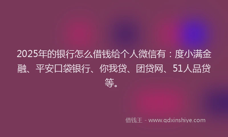 2025年的银行怎么借钱给个人微信有：度小满金融、平安口袋银行、你我贷、团贷网、51人品贷等。