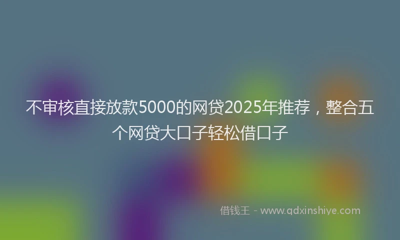 不审核直接放款5000的网贷2025年推荐，整合五个网贷大口子轻松借口子