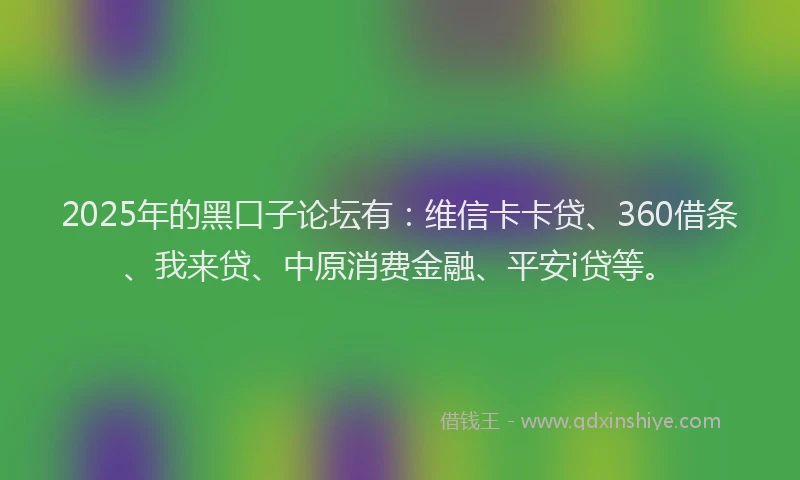 2025年的黑口子论坛有：维信卡卡贷、360借条、我来贷、中原消费金融、平安i贷等。