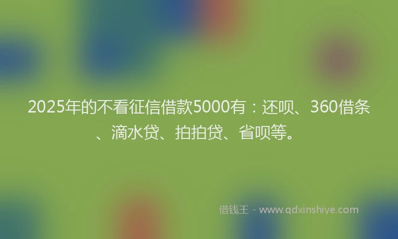 2025年的不看征信借款5000有：还呗、360借条、滴水贷、拍拍贷、省呗等。