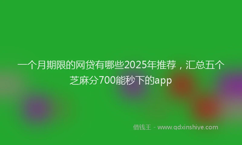 一个月期限的网贷有哪些2025年推荐，汇总五个芝麻分700能秒下的app