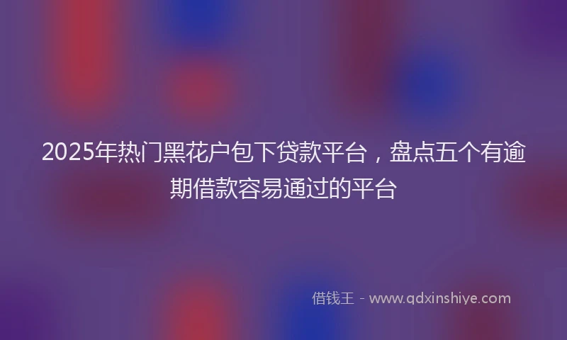 2025年热门黑花户包下贷款平台，盘点五个有逾期借款容易通过的平台