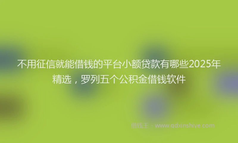 不用征信就能借钱的平台小额贷款有哪些2025年精选，罗列五个公积金借钱软件