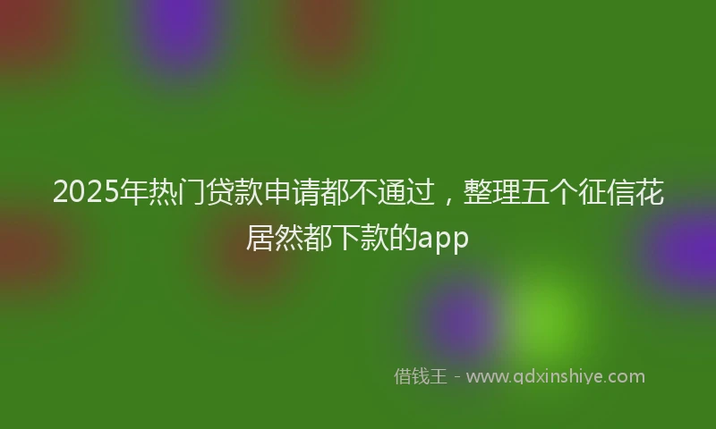 2025年热门贷款申请都不通过，整理五个征信花居然都下款的app