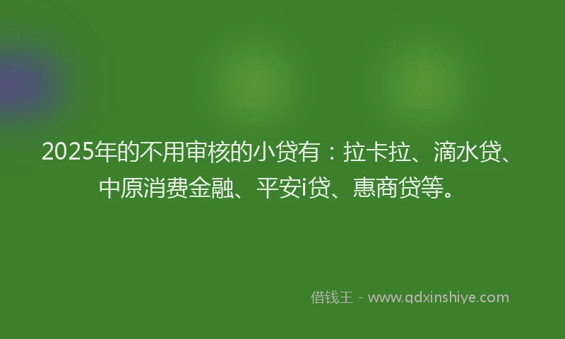 2025年的不用审核的小贷有：拉卡拉、滴水贷、中原消费金融、平安i贷、惠商贷等。