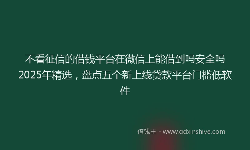 不看征信的借钱平台在微信上能借到吗安全吗2025年精选，盘点五个新上线贷款平台门槛低软件