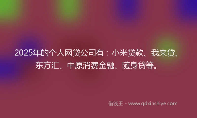 2025年的个人网贷公司有：小米贷款、我来贷、东方汇、中原消费金融、随身贷等。