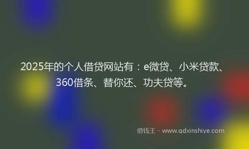2025年的个人借贷网站有：e微贷、小米贷款、360借条、替你还、功夫贷等。