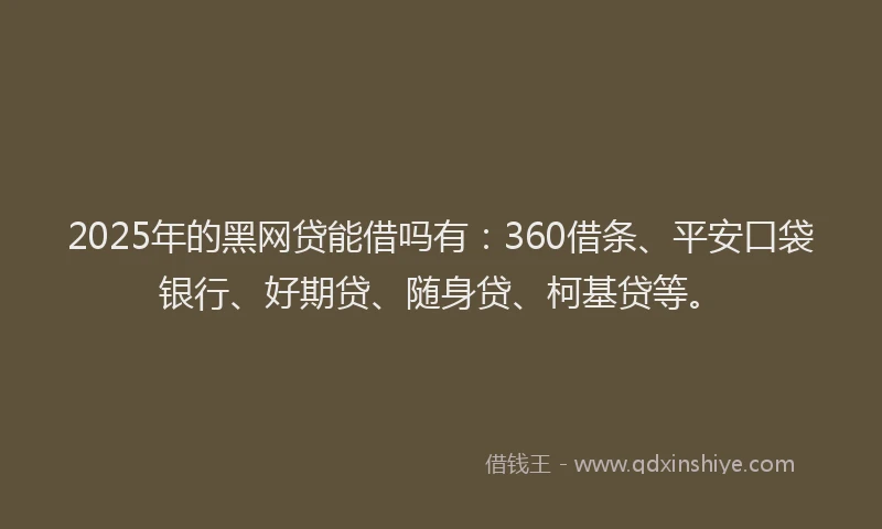 2025年的黑网贷能借吗有：360借条、平安口袋银行、好期贷、随身贷、柯基贷等。
