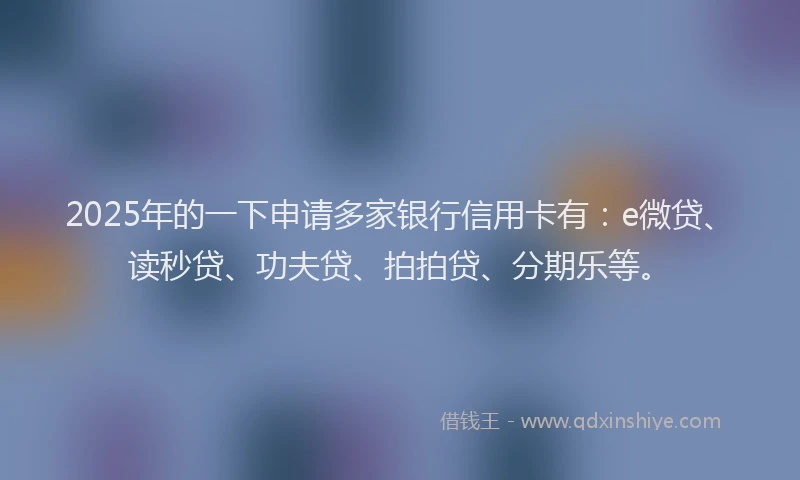 2025年的一下申请多家银行信用卡有：e微贷、读秒贷、功夫贷、拍拍贷、分期乐等。