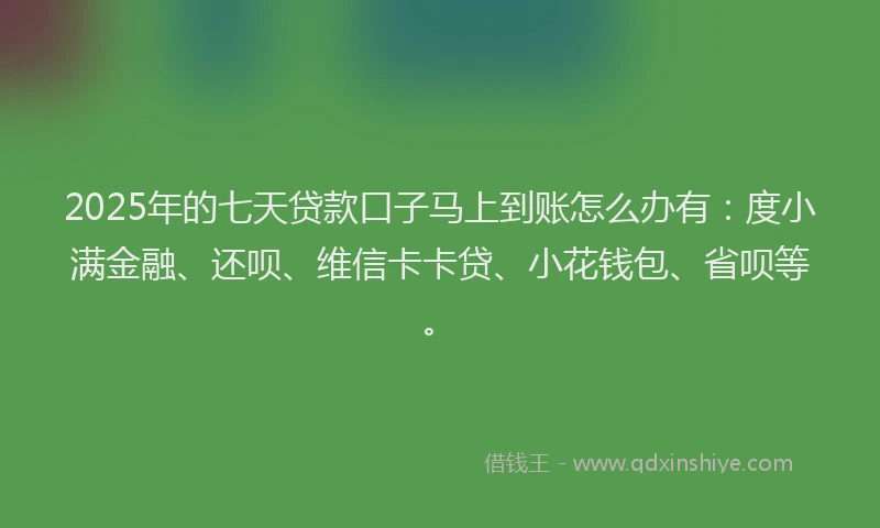 2025年的七天贷款口子马上到账怎么办有：度小满金融、还呗、维信卡卡贷、小花钱包、省呗等。