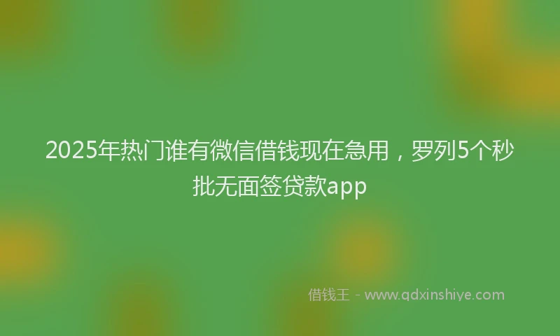 2025年热门谁有微信借钱现在急用，罗列5个秒批无面签贷款app
