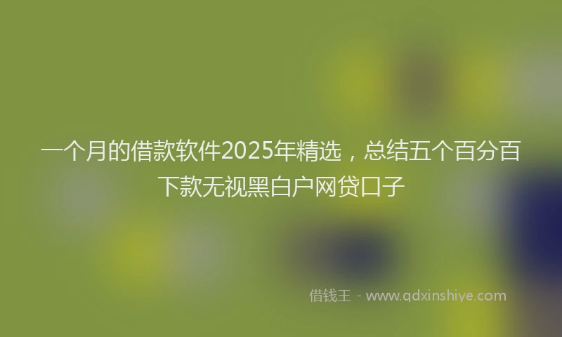 一个月的借款软件2025年精选，总结五个百分百下款无视黑白户网贷口子