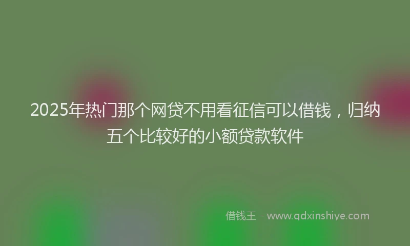 2025年热门那个网贷不用看征信可以借钱，归纳五个比较好的小额贷款软件