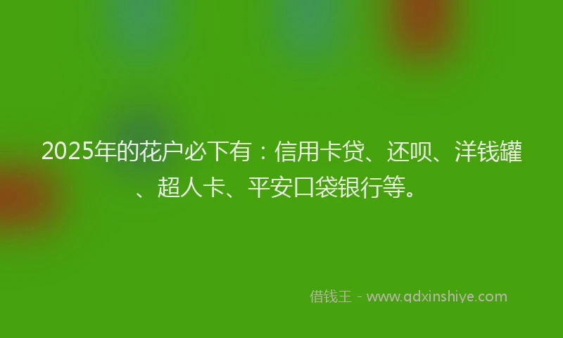 2025年的花户必下有：信用卡贷、还呗、洋钱罐、超人卡、平安口袋银行等。