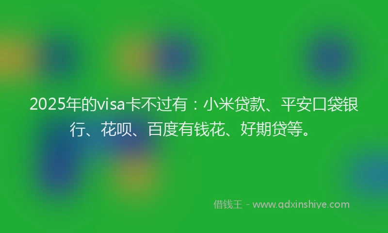 2025年的visa卡不过有：小米贷款、平安口袋银行、花呗、百度有钱花、好期贷等。