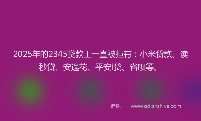 2025年的2345贷款王一直被拒有：小米贷款、读秒贷、安逸花、平安i贷、省呗等。