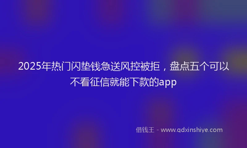 2025年热门闪垫钱急送风控被拒，盘点五个可以不看征信就能下款的app