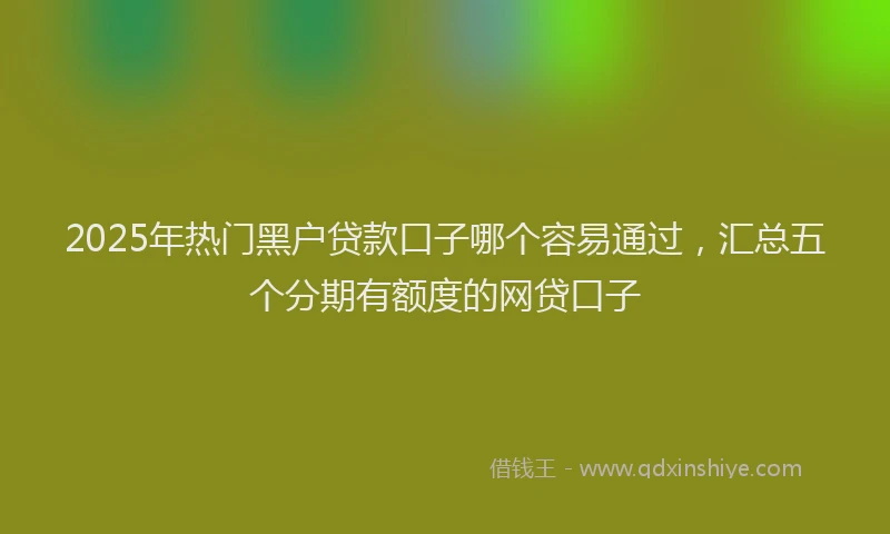 2025年热门黑户贷款口子哪个容易通过，汇总五个分期有额度的网贷口子