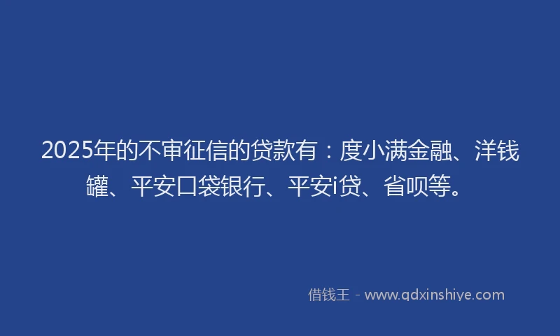 2025年的不审征信的贷款有：度小满金融、洋钱罐、平安口袋银行、平安i贷、省呗等。