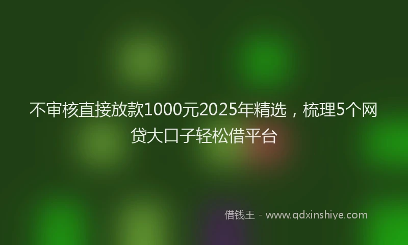 不审核直接放款1000元2025年精选，梳理5个网贷大口子轻松借平台