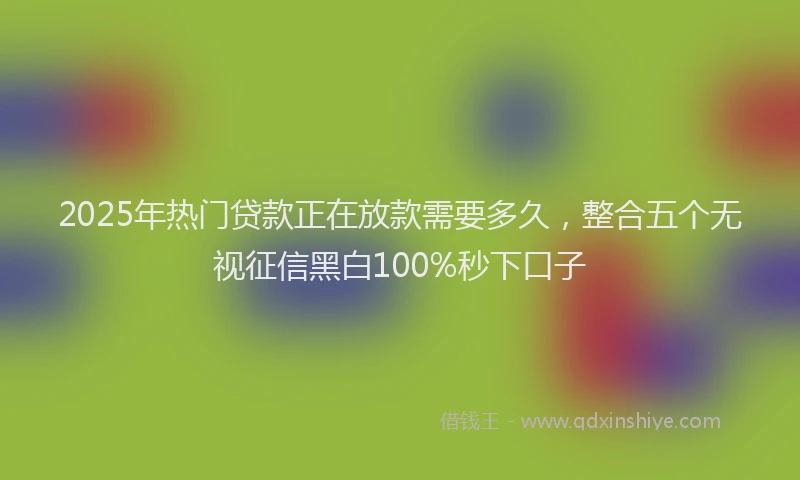 2025年热门贷款正在放款需要多久，整合五个无视征信黑白100%秒下口子