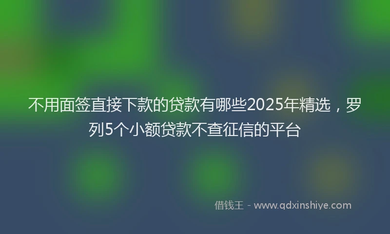 不用面签直接下款的贷款有哪些2025年精选，罗列5个小额贷款不查征信的平台