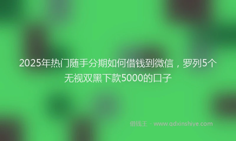 2025年热门随手分期如何借钱到微信，罗列5个无视双黑下款5000的口子