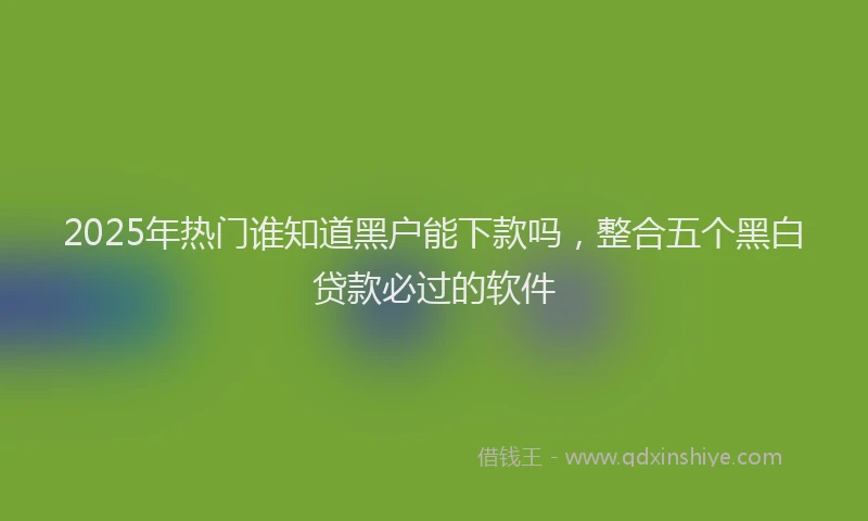 2025年热门谁知道黑户能下款吗，整合五个黑白贷款必过的软件