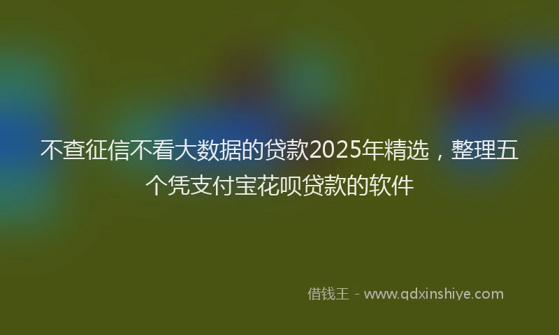 不查征信不看大数据的贷款2025年精选，整理五个凭支付宝花呗贷款的软件