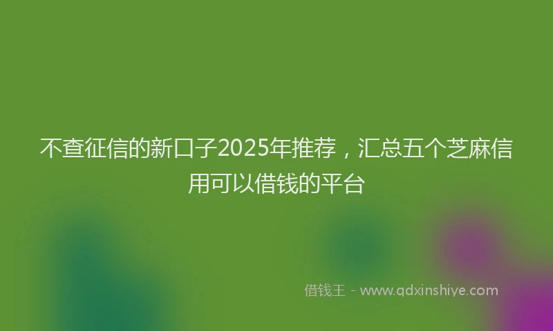 不查征信的新口子2025年推荐，汇总五个芝麻信用可以借钱的平台