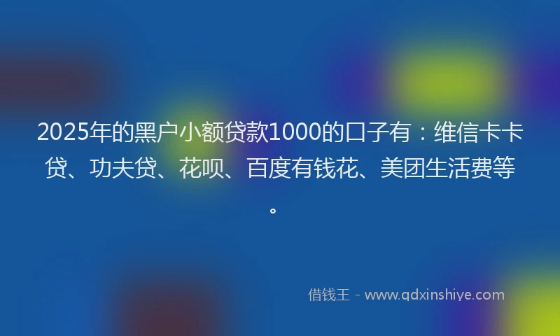 2025年的黑户小额贷款1000的口子有：维信卡卡贷、功夫贷、花呗、百度有钱花、美团生活费等。
