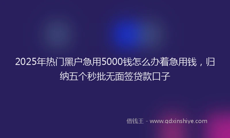2025年热门黑户急用5000钱怎么办着急用钱，归纳五个秒批无面签贷款口子